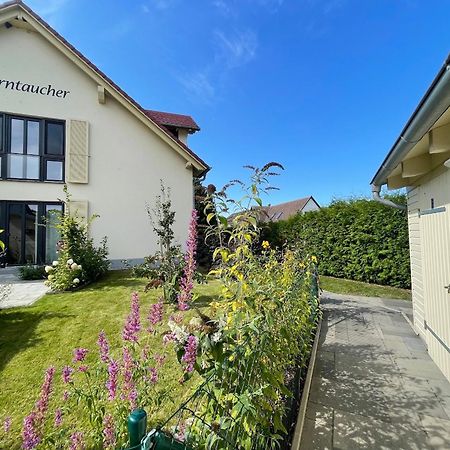 טיסואו Haus Sterntaucher Ferienwohnung "Sonnenstern" מראה חיצוני תמונה