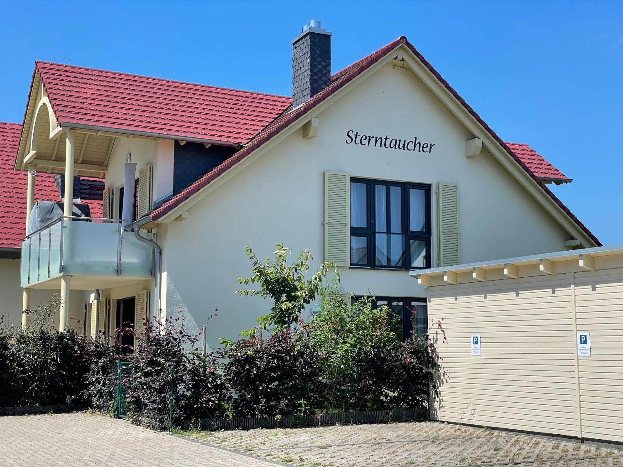 טיסואו Haus Sterntaucher Ferienwohnung "Sonnenstern" מראה חיצוני תמונה