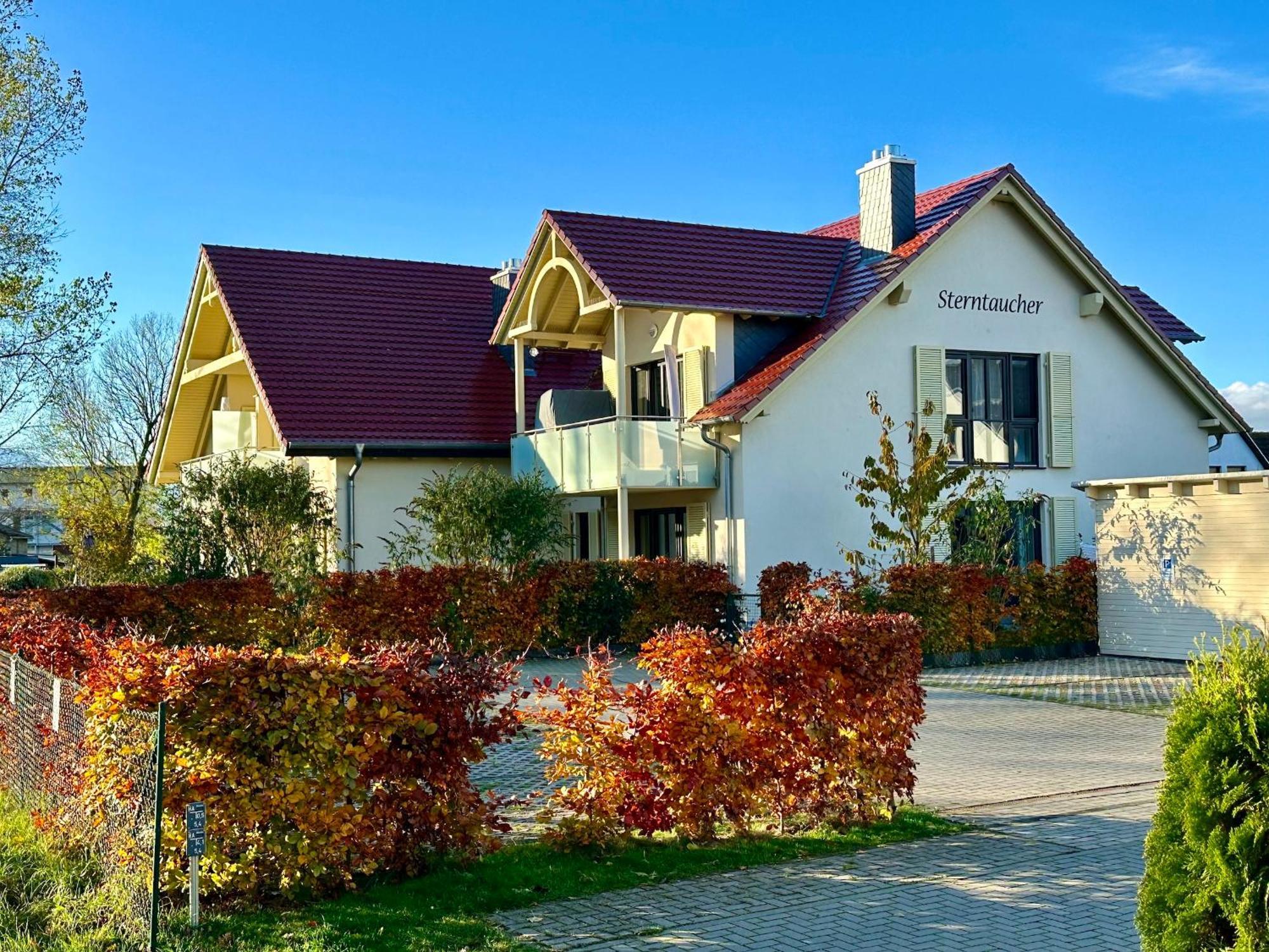 טיסואו Haus Sterntaucher Ferienwohnung "Sonnenstern" מראה חיצוני תמונה